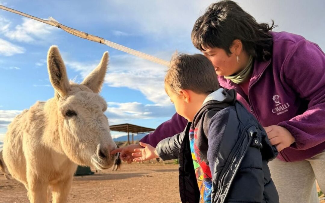 Este verano, vive una experiencia única en Rancho Cavalli