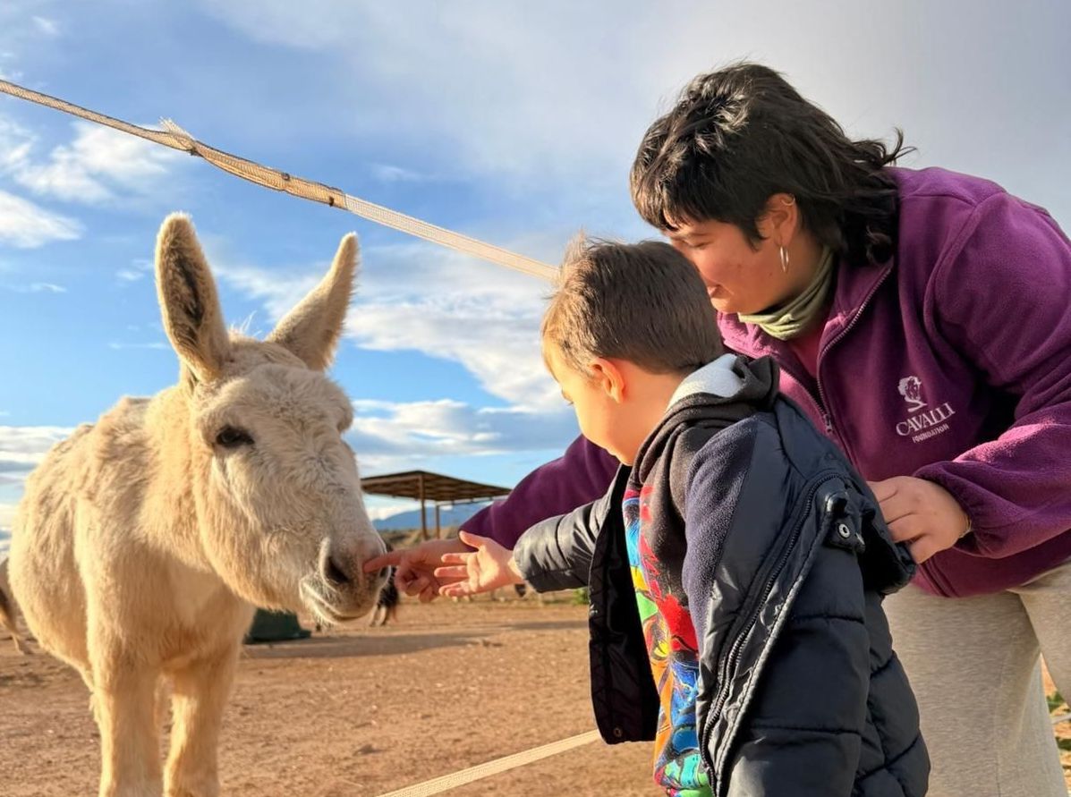 Este verano, vive una experiencia única en Rancho Cavalli